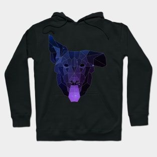 Galaxy Dopey Dog Hoodie